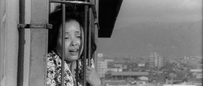 人类学入门剧照的剧照