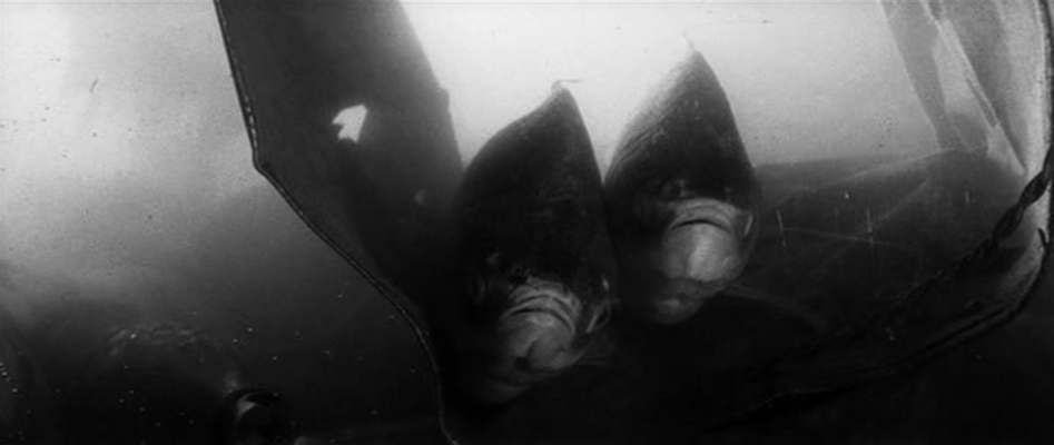 人类学入门剧照的剧照