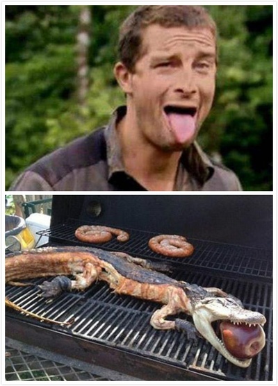 巨鳄风暴剧照的剧照