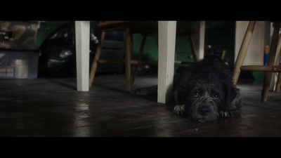 巨鳄风暴剧照的剧照