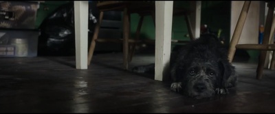 巨鳄风暴剧照的剧照