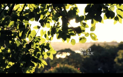 拿铁花香剧照的剧照