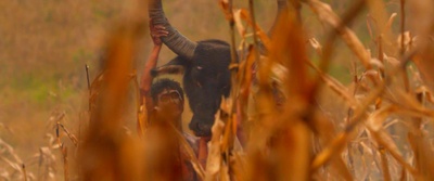 火箭剧照的剧照