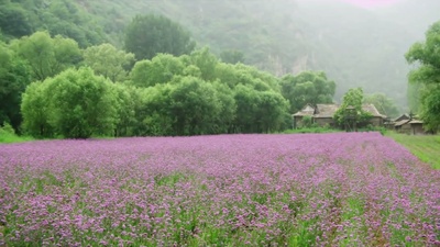 小戏骨：八仙过海剧照的剧照