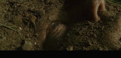 神秘的地洞剧照的剧照