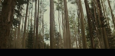 神秘的地洞剧照的剧照