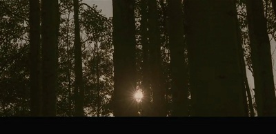 神秘的地洞剧照的剧照