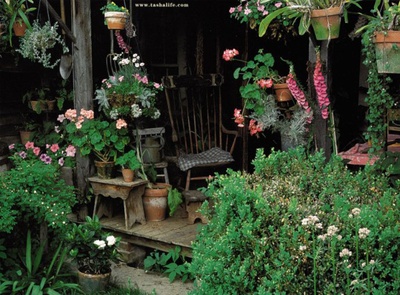 塔莎杜朵，一个人的田园生活剧照的剧照