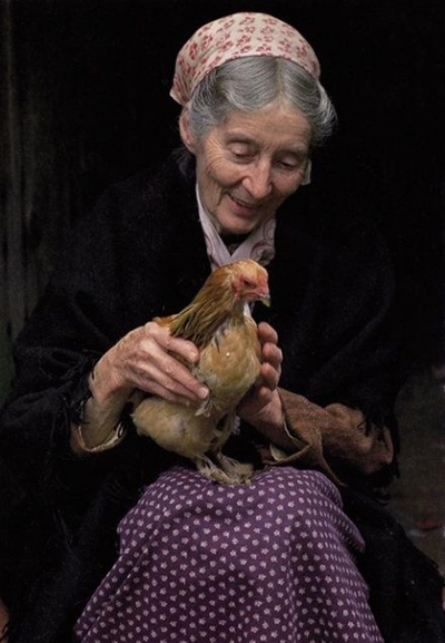 塔莎杜朵，一个人的田园生活剧照的剧照