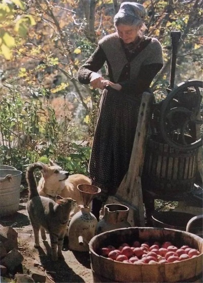 塔莎杜朵，一个人的田园生活剧照的剧照