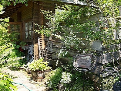 塔莎杜朵，一个人的田园生活剧照的剧照