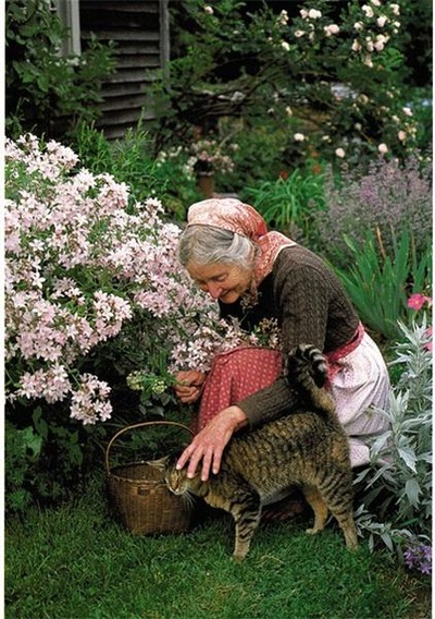 塔莎杜朵，一个人的田园生活剧照的剧照