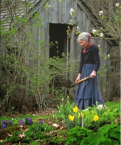 塔莎杜朵，一个人的田园生活剧照的剧照