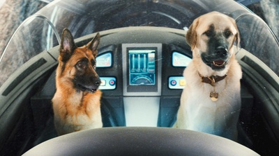 猫狗大战：珍珠猫复仇剧照的剧照