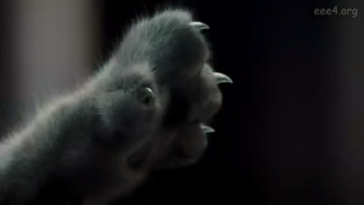 猫狗大战：珍珠猫复仇剧照的剧照