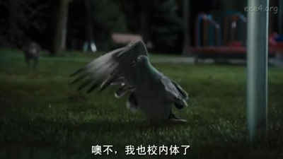 猫狗大战：珍珠猫复仇剧照的剧照