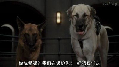 猫狗大战：珍珠猫复仇剧照的剧照