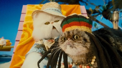 猫狗大战：珍珠猫复仇剧照的剧照