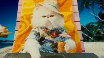 猫狗大战：珍珠猫复仇剧照的剧照