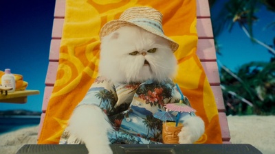 猫狗大战：珍珠猫复仇剧照的剧照