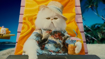 猫狗大战：珍珠猫复仇剧照的剧照