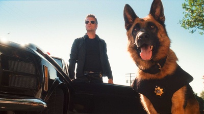 猫狗大战：珍珠猫复仇剧照的剧照