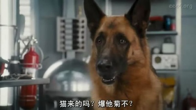 猫狗大战：珍珠猫复仇剧照的剧照