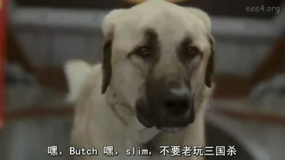 猫狗大战：珍珠猫复仇剧照的剧照