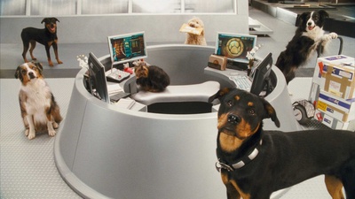 猫狗大战：珍珠猫复仇剧照的剧照