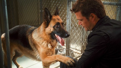 猫狗大战：珍珠猫复仇剧照的剧照