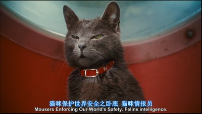 猫狗大战：珍珠猫复仇剧照的剧照