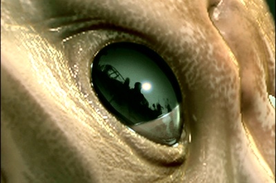 科洛弗档案剧照的剧照