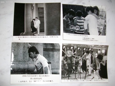 夏日的期待剧照的剧照