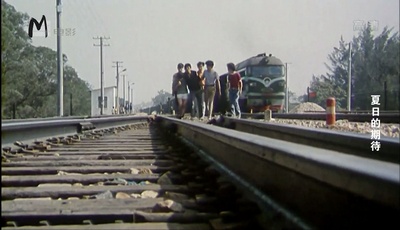 夏日的期待剧照的剧照