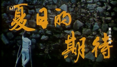 夏日的期待剧照的剧照