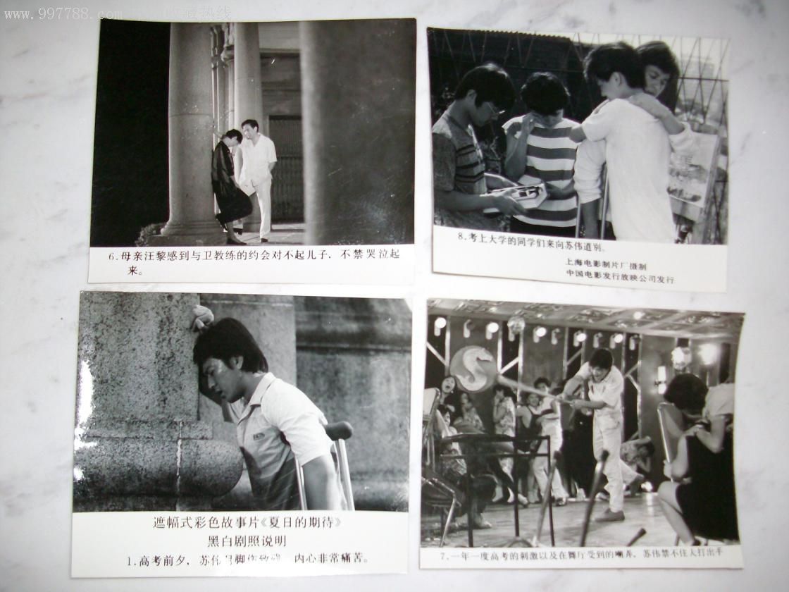 夏日的期待剧照的剧照