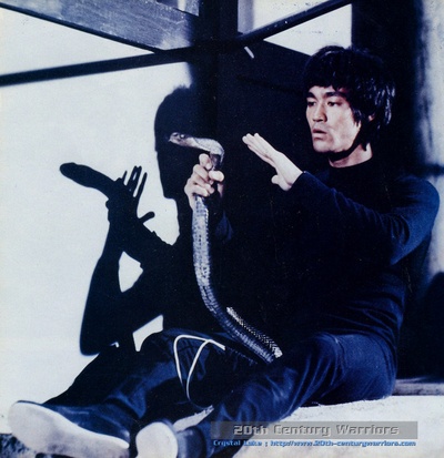 龙争虎斗剧照的剧照