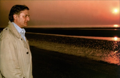 白色婚礼剧照的剧照