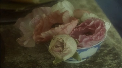 劳拉剧照的剧照