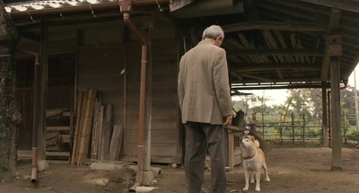 向日葵与幼犬的7天剧照的剧照