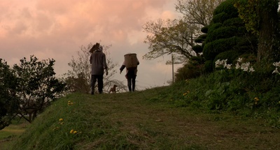 向日葵与幼犬的7天剧照的剧照