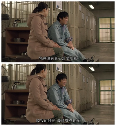 向日葵与幼犬的7天剧照的剧照