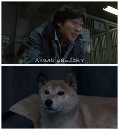 向日葵与幼犬的7天剧照的剧照