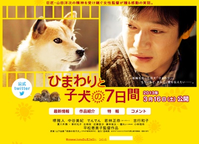 向日葵与幼犬的7天剧照的剧照