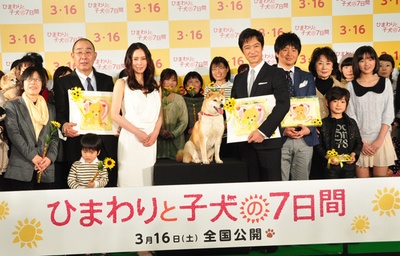 向日葵与幼犬的7天剧照的剧照