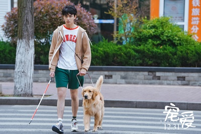 宠爱剧照的剧照