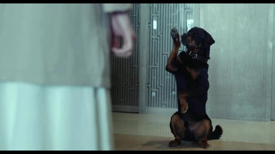 宠爱剧照的剧照