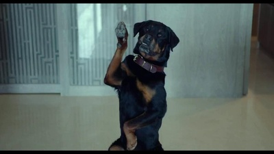 宠爱剧照的剧照