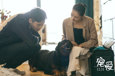 宠爱剧照的剧照