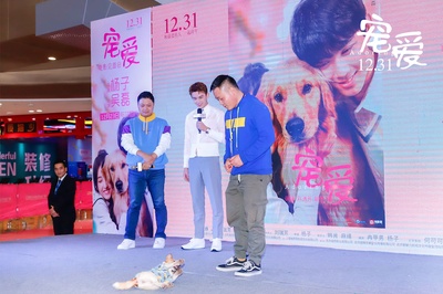 宠爱剧照的剧照